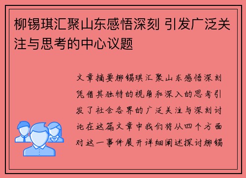 柳锡琪汇聚山东感悟深刻 引发广泛关注与思考的中心议题