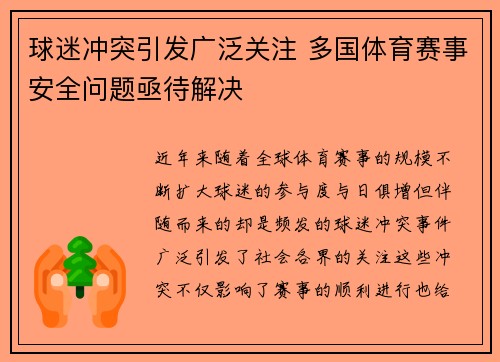 球迷冲突引发广泛关注 多国体育赛事安全问题亟待解决